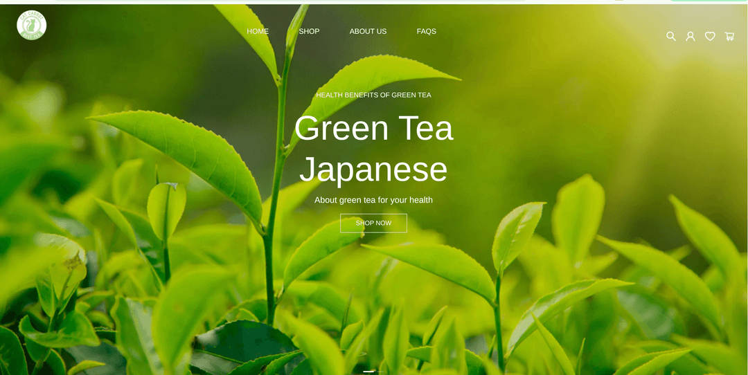 project screenshot